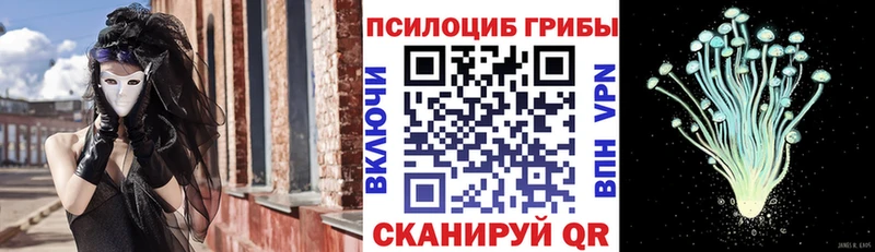 Галлюциногенные грибы мухоморы Хилок