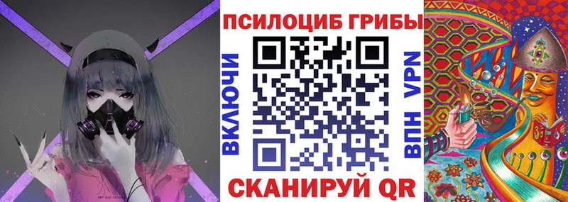 Псилоцибиновые грибы GOLDEN TEACHER  Хилок 